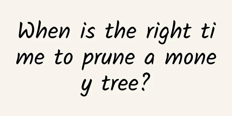 When is the right time to prune a money tree?