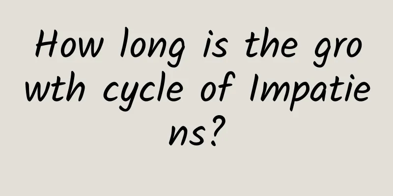How long is the growth cycle of Impatiens?