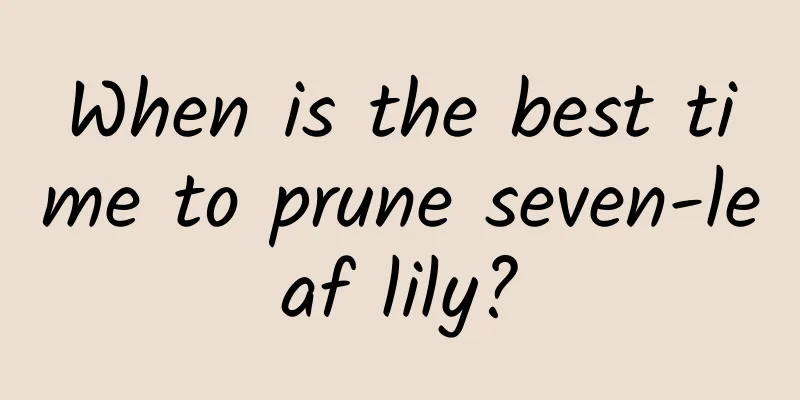 When is the best time to prune seven-leaf lily?