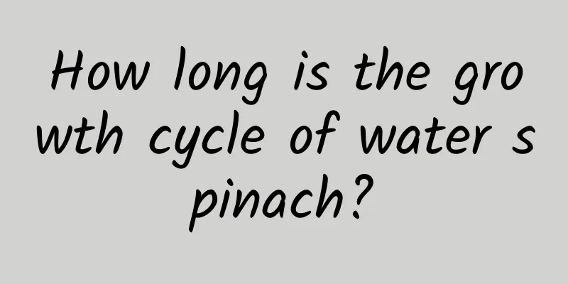 How long is the growth cycle of water spinach?