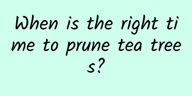 When is the right time to prune tea trees?