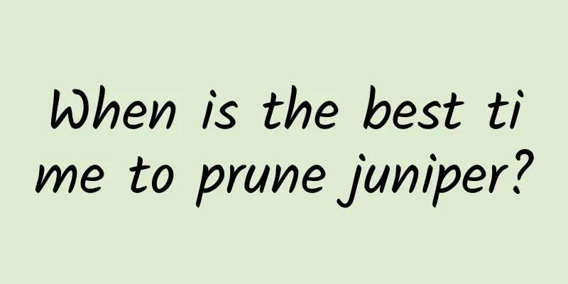 When is the best time to prune juniper?