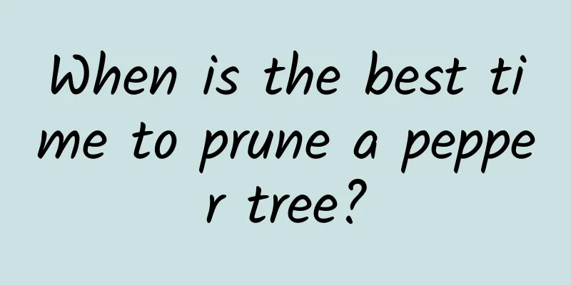 When is the best time to prune a pepper tree?
