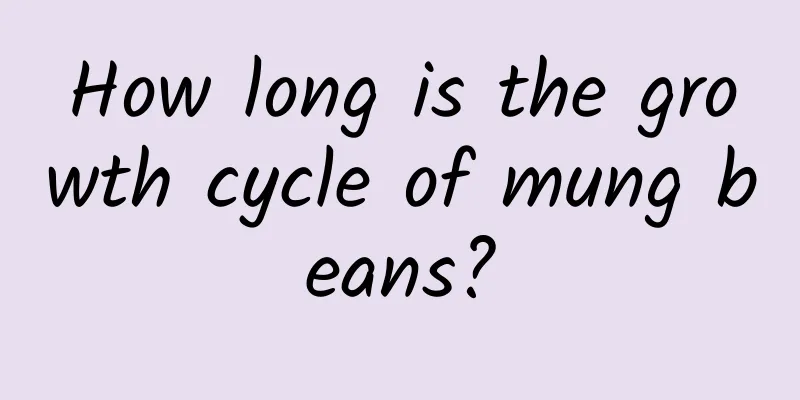 How long is the growth cycle of mung beans?