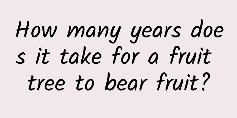 How many years does it take for a fruit tree to bear fruit?