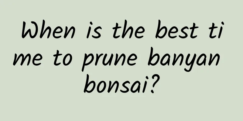When is the best time to prune banyan bonsai?