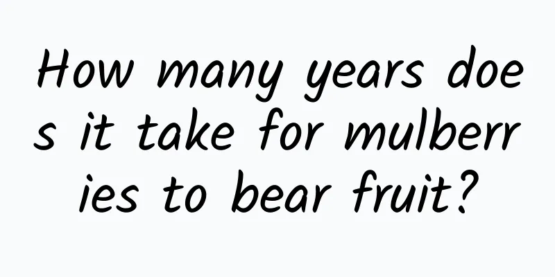 How many years does it take for mulberries to bear fruit?