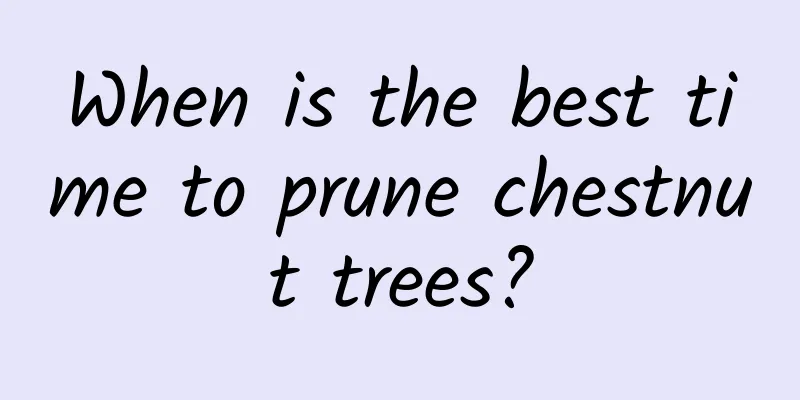 When is the best time to prune chestnut trees?