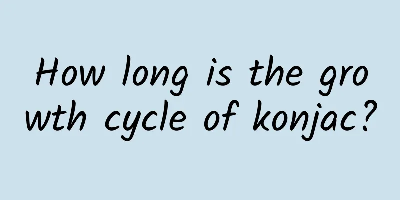 How long is the growth cycle of konjac?