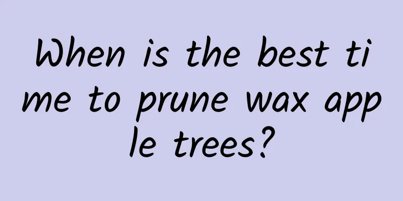 When is the best time to prune wax apple trees?