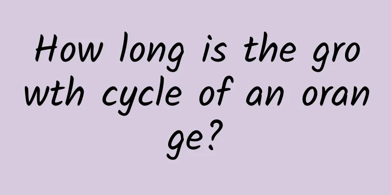 How long is the growth cycle of an orange?