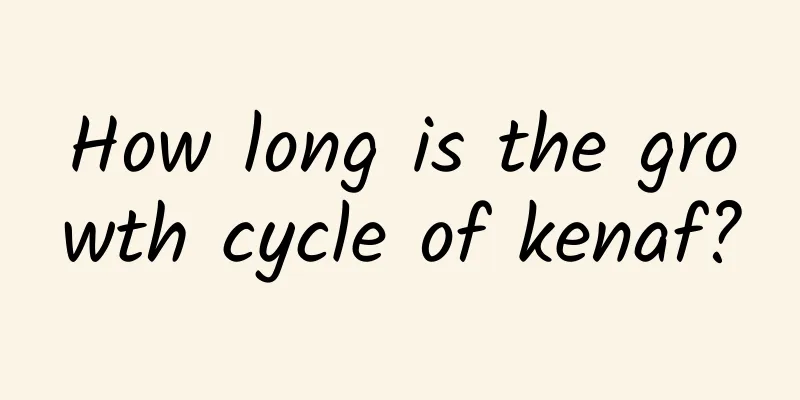 How long is the growth cycle of kenaf?