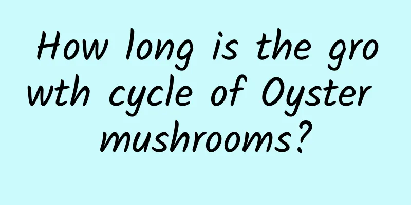 How long is the growth cycle of Oyster mushrooms?