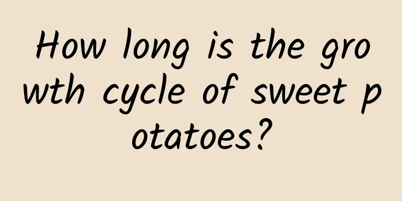 How long is the growth cycle of sweet potatoes?