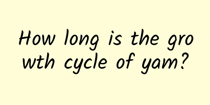 How long is the growth cycle of yam?