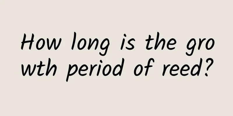 How long is the growth period of reed?