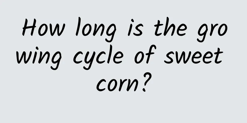 How long is the growing cycle of sweet corn?