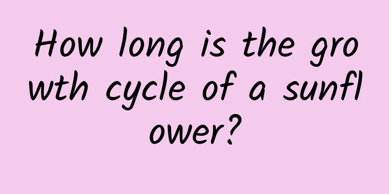 How long is the growth cycle of a sunflower?
