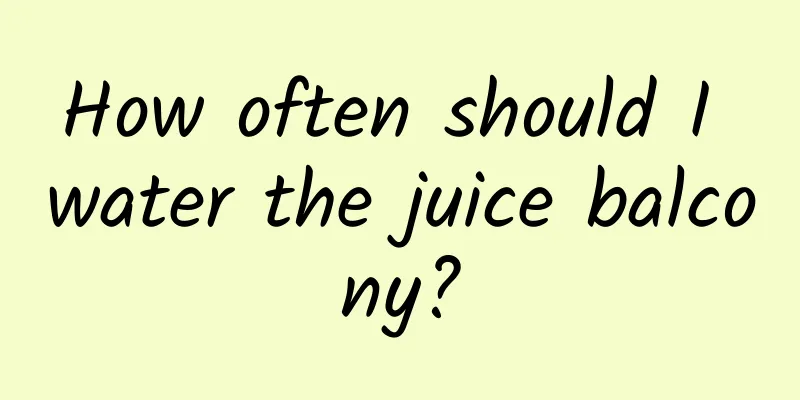 How often should I water the juice balcony?