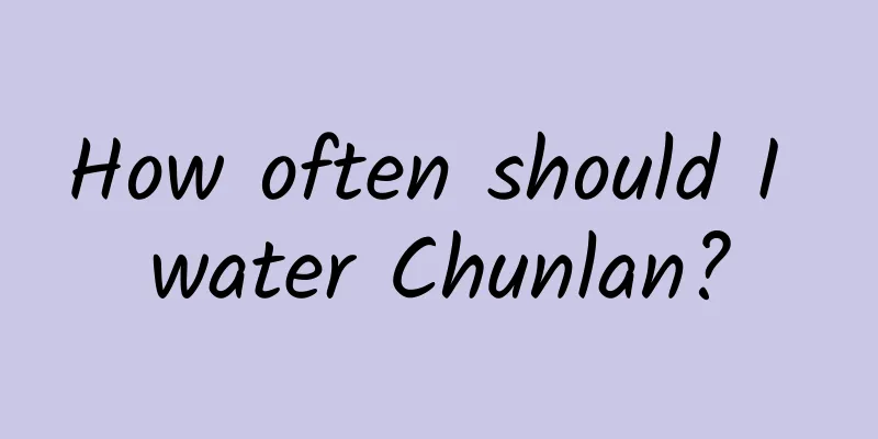 How often should I water Chunlan?