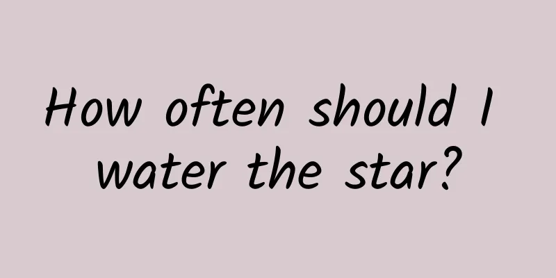 How often should I water the star?