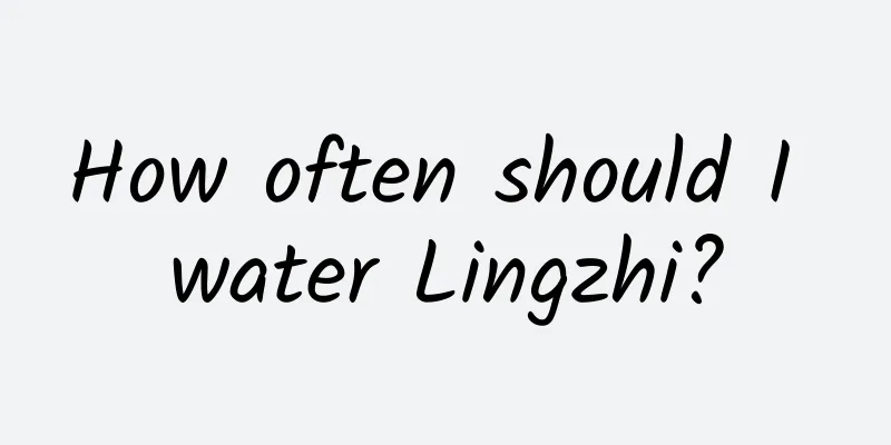 How often should I water Lingzhi?