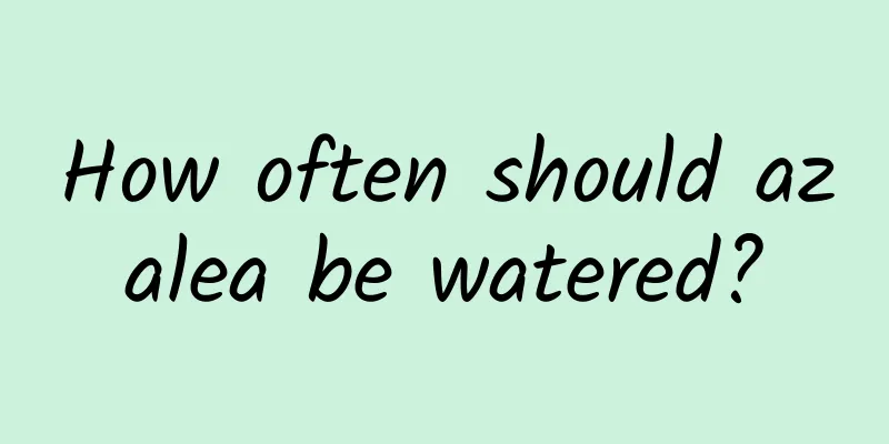 How often should azalea be watered?