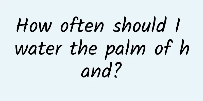 How often should I water the palm of hand?