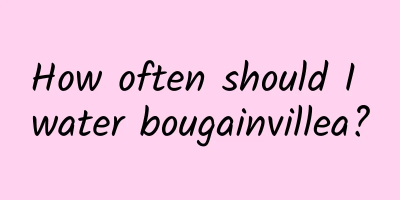 How often should I water bougainvillea?