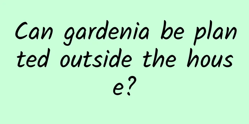 Can gardenia be planted outside the house?