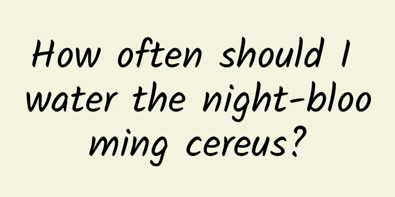 How often should I water the night-blooming cereus?