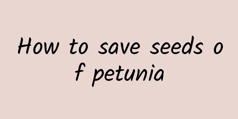 How to save seeds of petunia