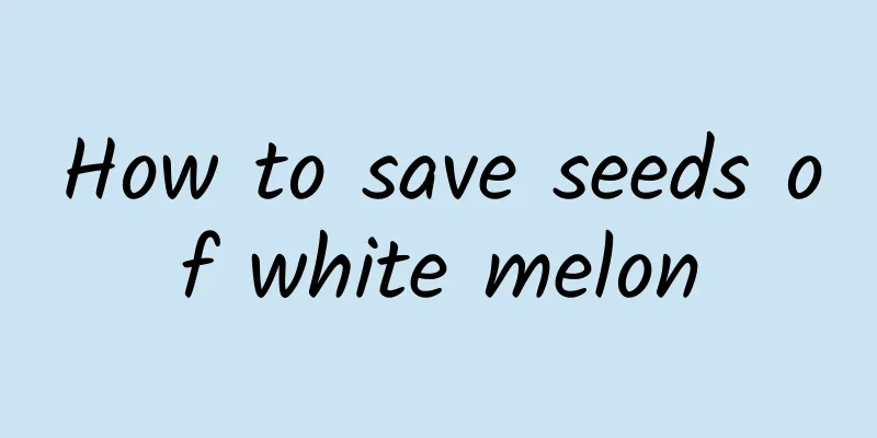 How to save seeds of white melon