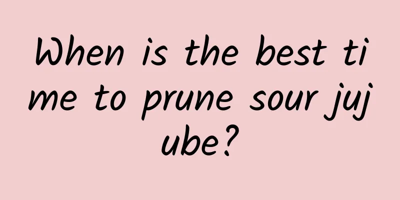 When is the best time to prune sour jujube?