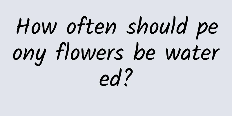How often should peony flowers be watered?