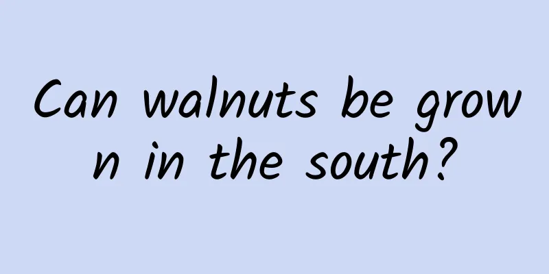 Can walnuts be grown in the south?