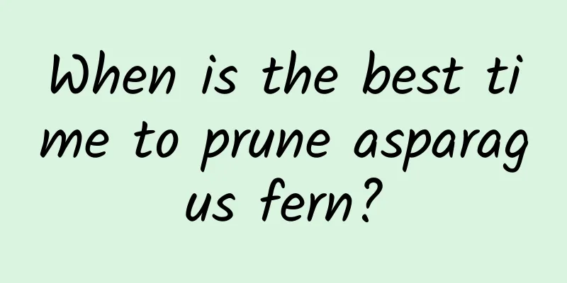 When is the best time to prune asparagus fern?