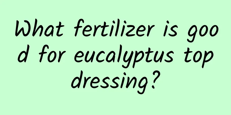 What fertilizer is good for eucalyptus topdressing?
