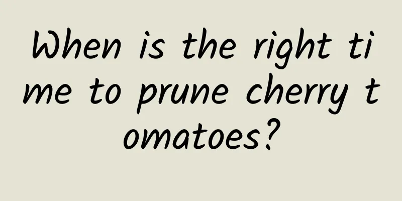 When is the right time to prune cherry tomatoes?