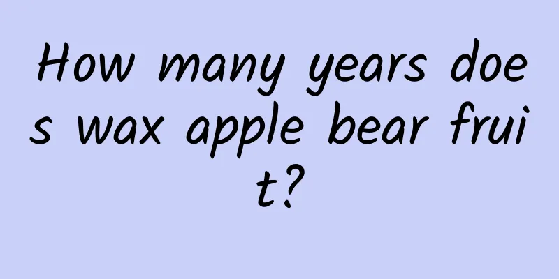 How many years does wax apple bear fruit?