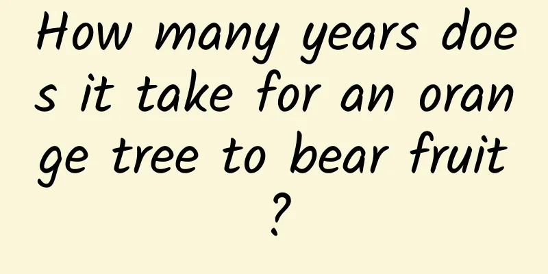 How many years does it take for an orange tree to bear fruit?