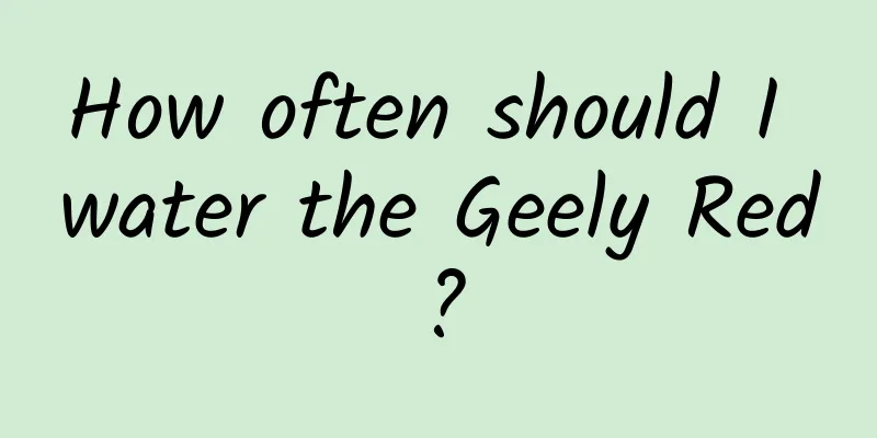 How often should I water the Geely Red?