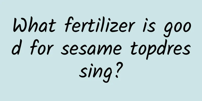 What fertilizer is good for sesame topdressing?