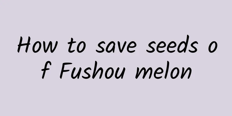 How to save seeds of Fushou melon
