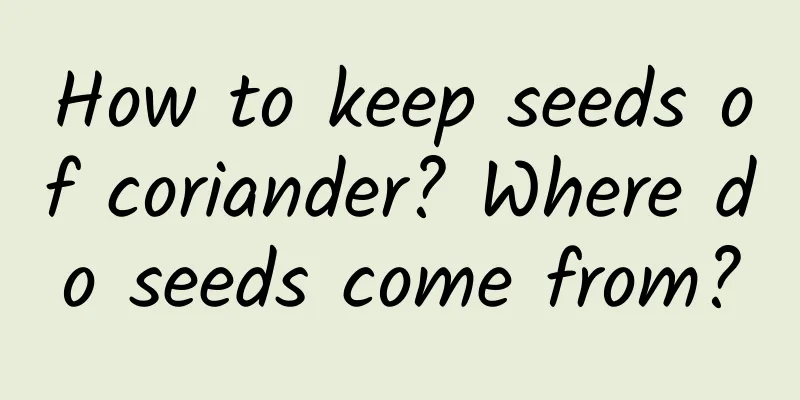 How to keep seeds of coriander? Where do seeds come from?