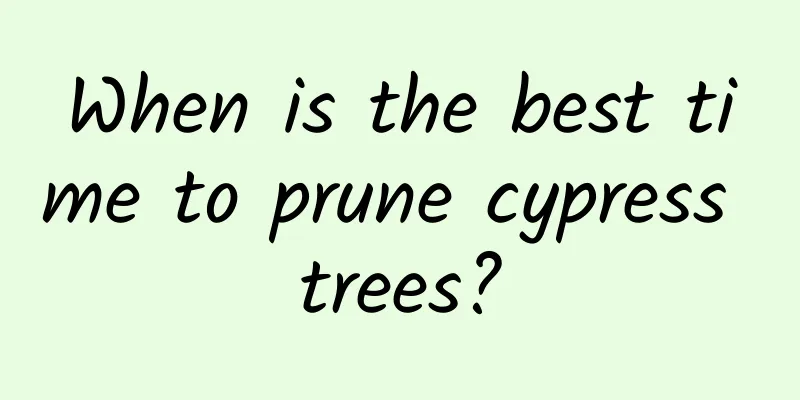 When is the best time to prune cypress trees?