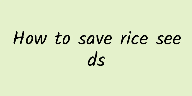 How to save rice seeds