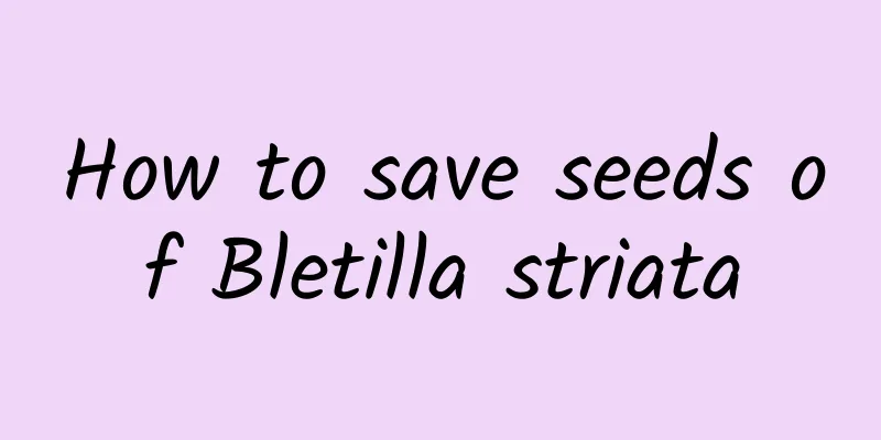 How to save seeds of Bletilla striata