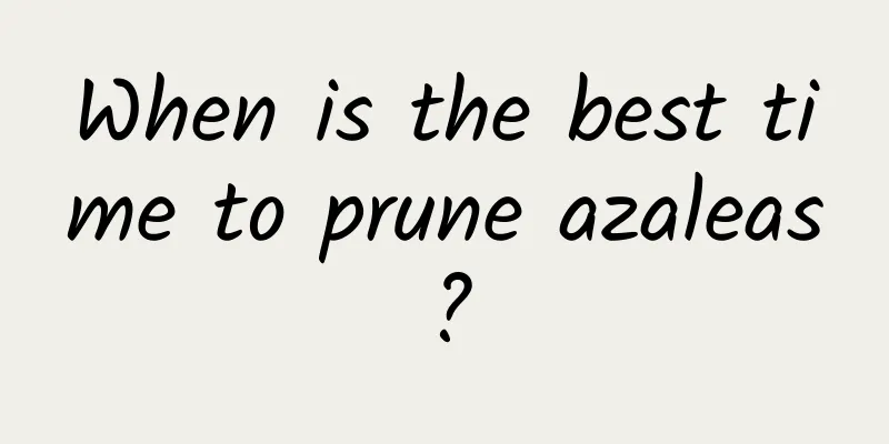 When is the best time to prune azaleas?