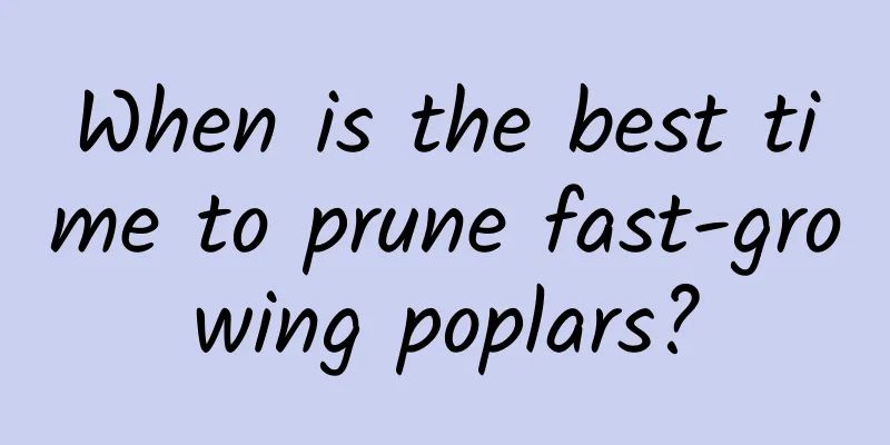 When is the best time to prune fast-growing poplars?
